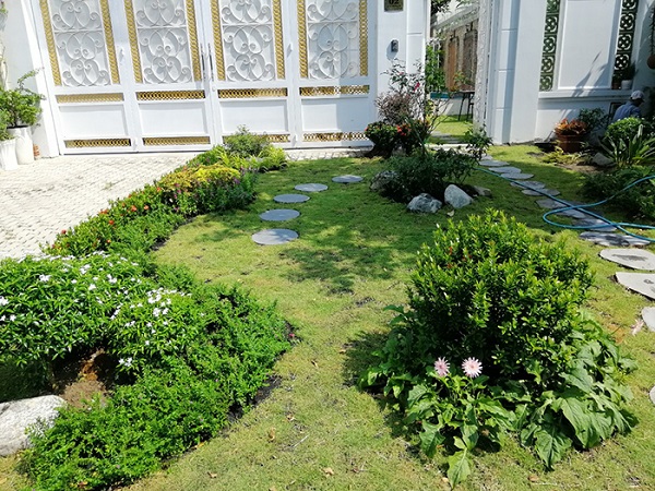 Thiết kế sân vườn đẹp đơn giản biệt thự, villa sân vườn