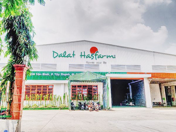 khách_hàng_Phương_Trang_Window